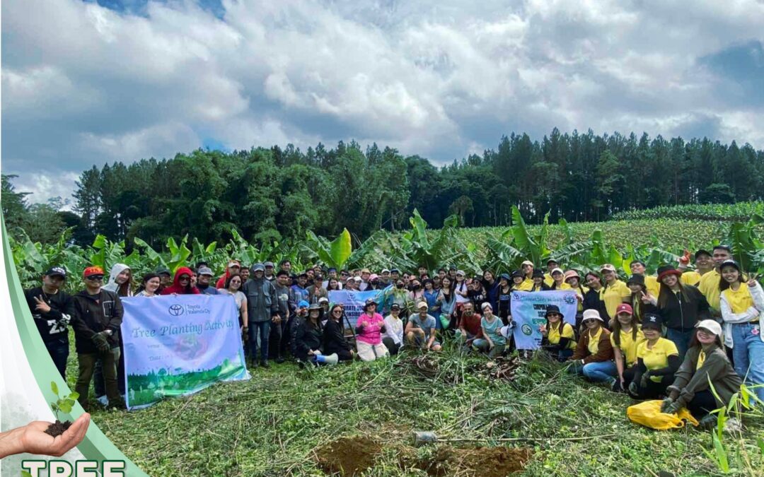 Growing Green: Toyota CDO Leads Tree Planting Effort